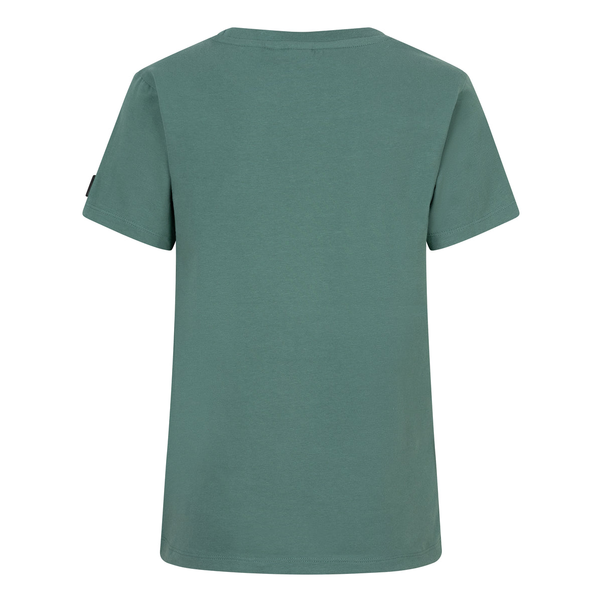 T-shirt INDN BLJNS | Washed Green