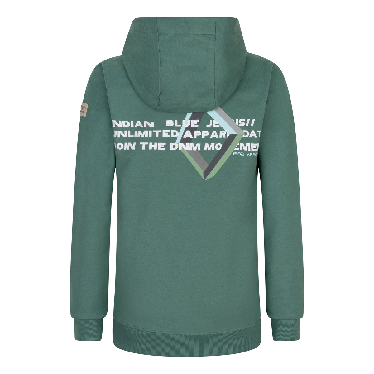 Hoodie Backprint Indian | Washed Green