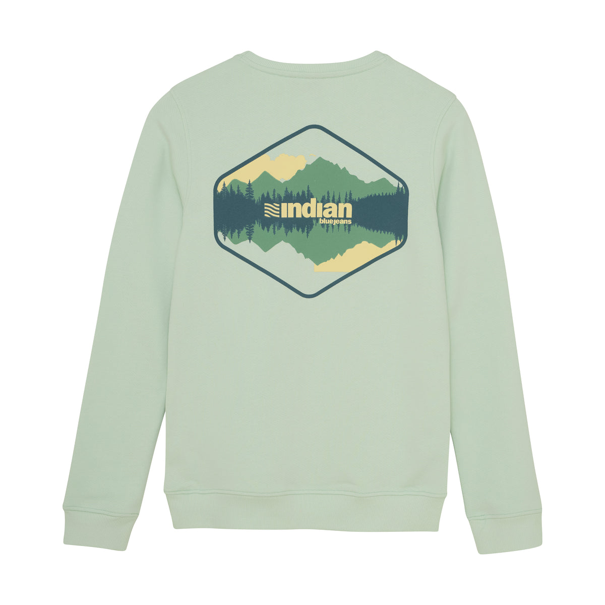 Sweater Backprint I Fade Mint