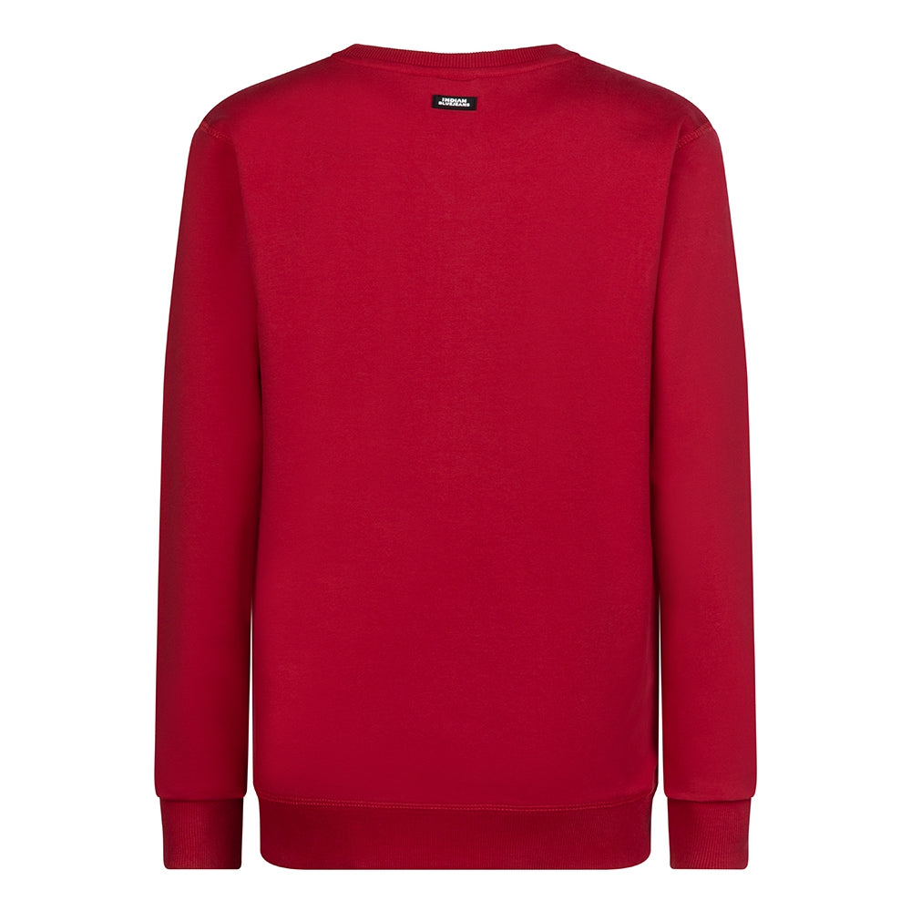 Organic Sweater IBJNS | Maroon Red